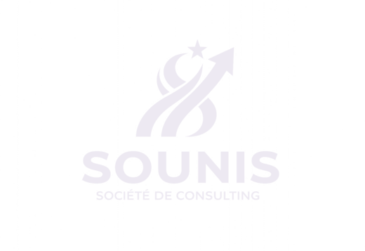 SOUNIS — Société de consulting
